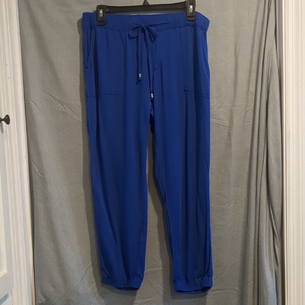 Old Navy Royal Blue Casual Pants